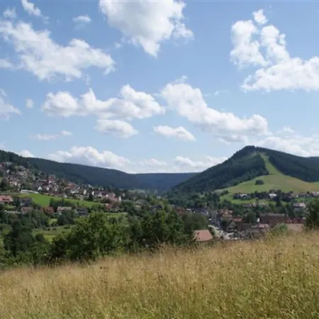 Sonnenschein - Haus Sommerberg Apartamento *